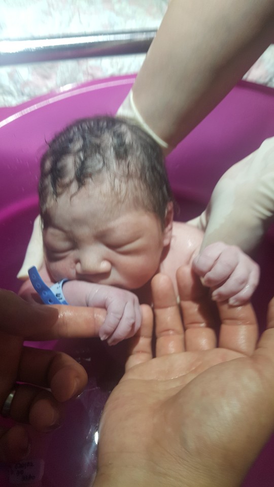 2dc749cde813dd31803a08dcda7e1e63_1540129